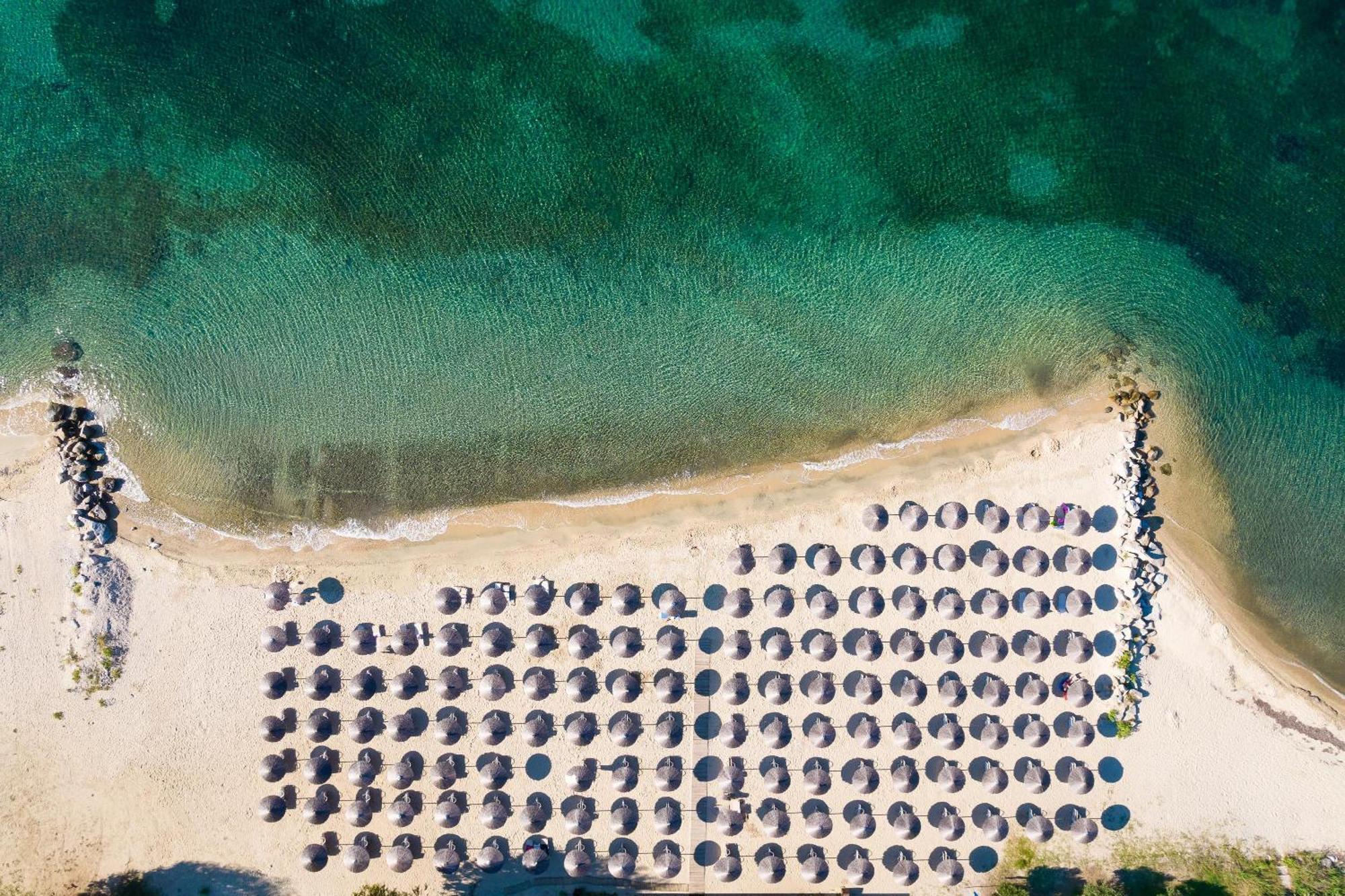 Resort Alexandros Palace