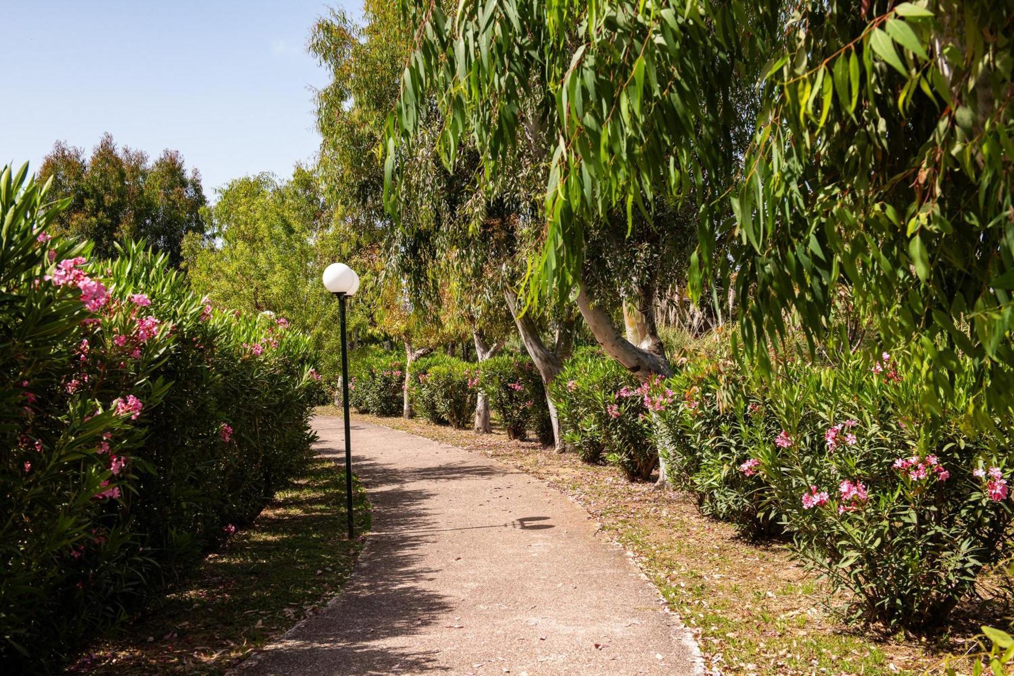 Resort Alexandros Palace Ouranoupoli